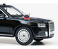 Schuco 1:43 Aurus Senat black President Car 450910000
